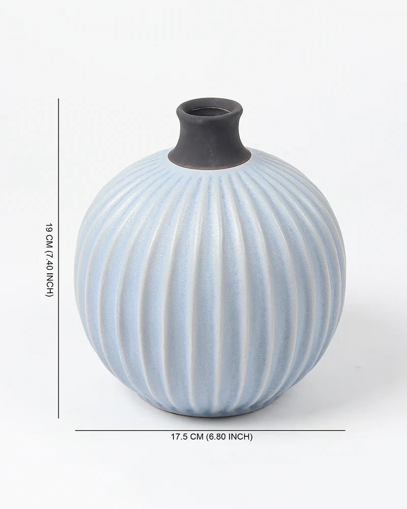Curved Ceramic Vase for Minimalist Room Decor