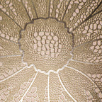 PVC Floral Placemat Set of 2 Nestasia