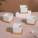 White Ceramic Planter Square Set Of 4 Nestasia