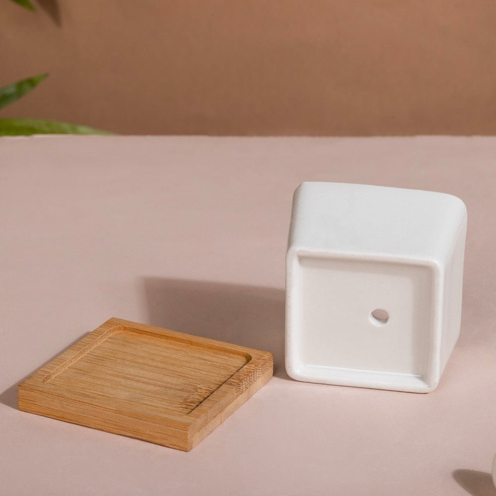 White Ceramic Planter Square Set Of 4 Nestasia