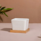 White Ceramic Planter Square Set Of 4 Nestasia