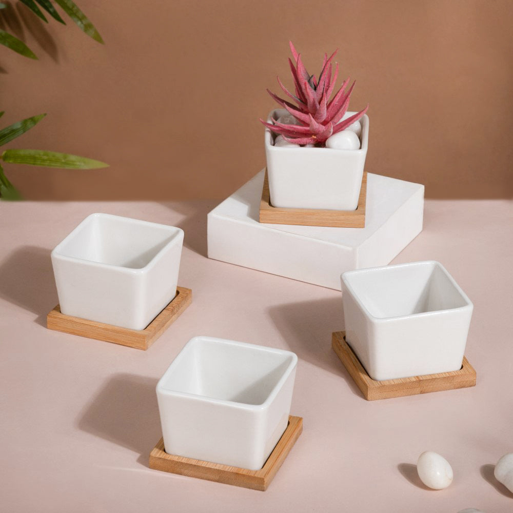 White Ceramic Planter Square Set Of 4 Nestasia