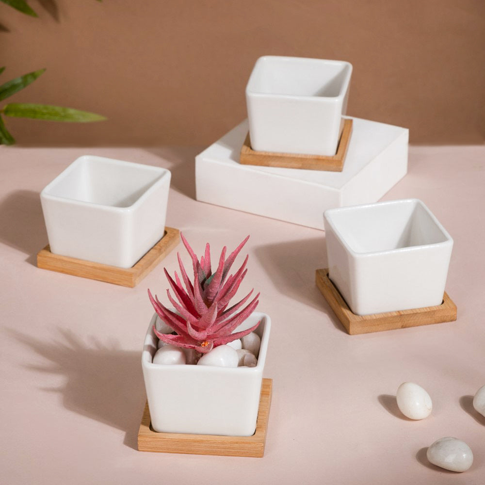 White Ceramic Planter Square Set Of 4 Nestasia