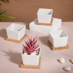 White Ceramic Planter Square Set Of 4 Nestasia