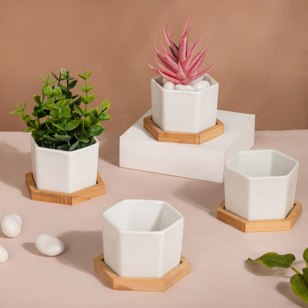 White Ceramic Planter Hexagon Set Of 4 Nestasia