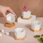 White Ceramic Planter Hexagon Set Of 4 Nestasia