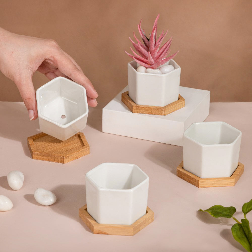 White Ceramic Planter Hexagon Set Of 4 Nestasia