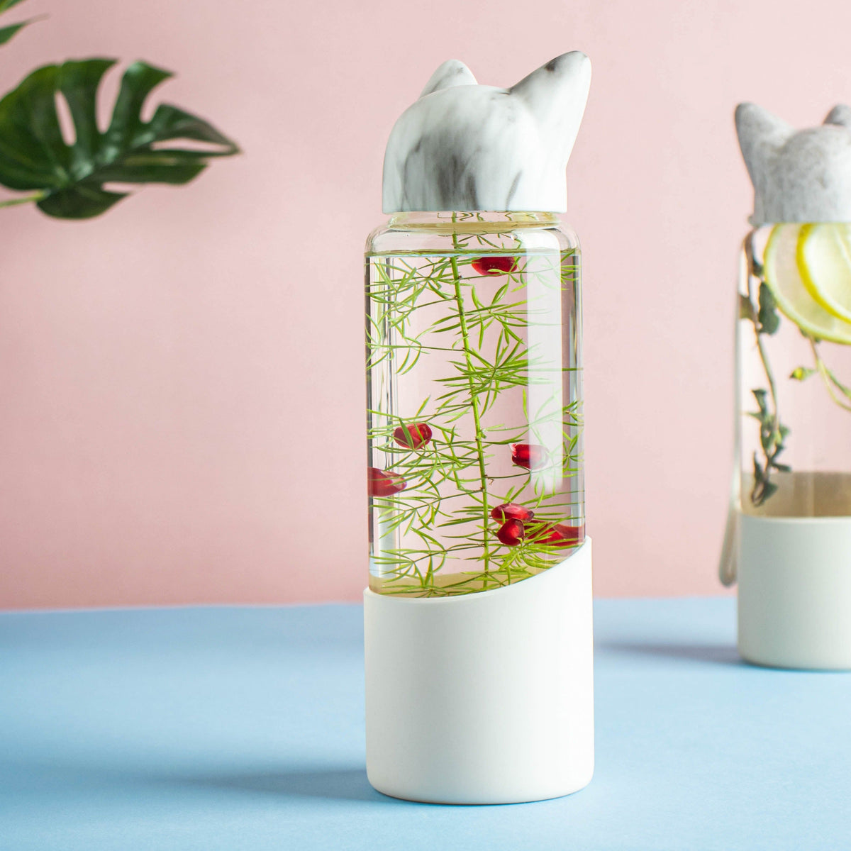 Fox ear Bottle Nestasia