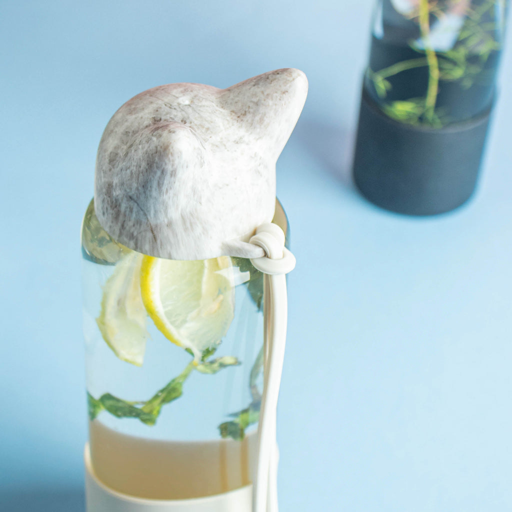 Fox ear Bottle Nestasia