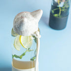 Fox ear Bottle Nestasia