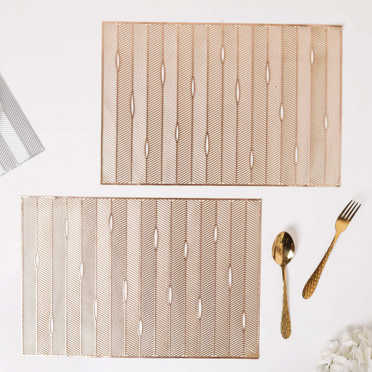 Rectangular PVC Placemat Set of 2 Nestasia