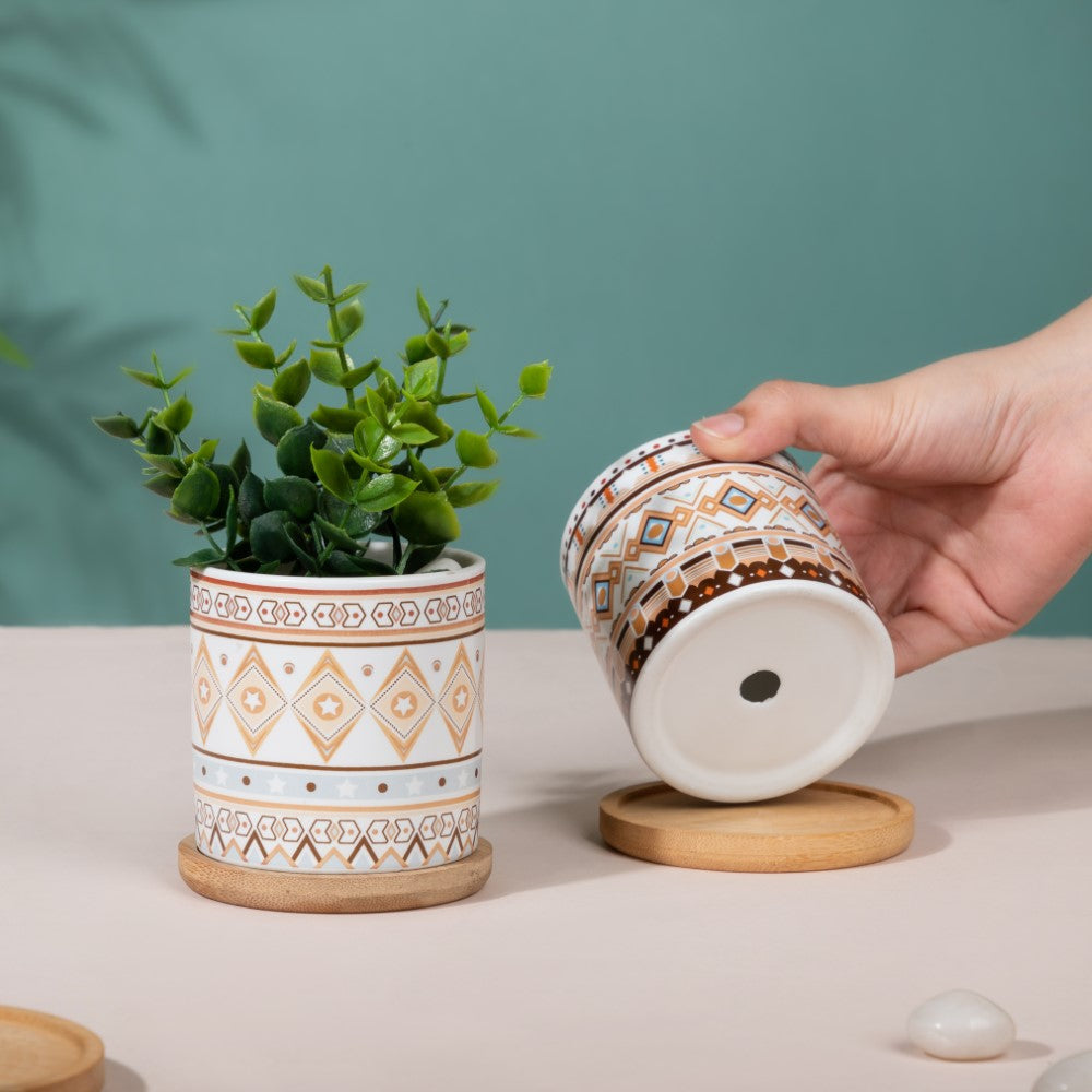 Botanic Expressions Ceramic Planter With Coaster Set Of 2 Nestasia