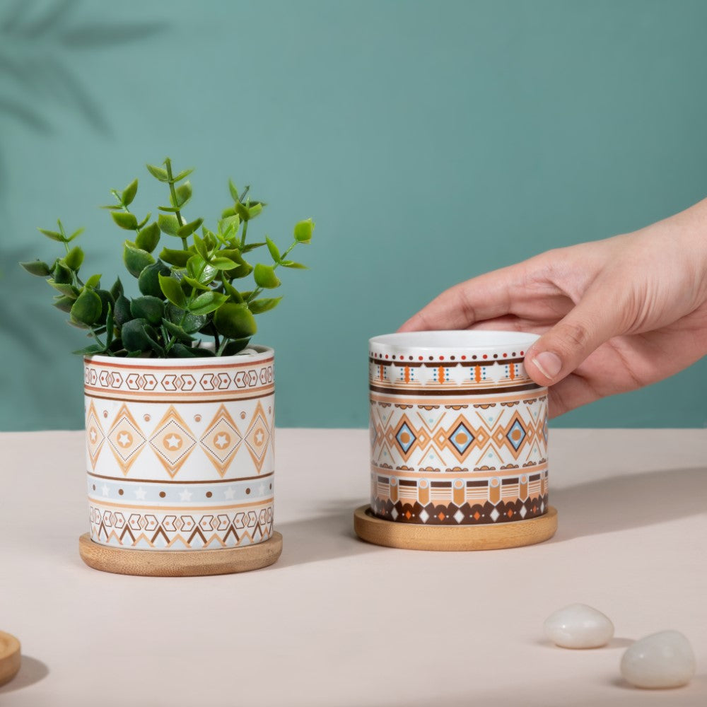Botanic Expressions Ceramic Planter With Coaster Set Of 2 Nestasia