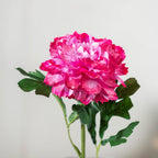 Peony Artificial Flower Maroon Set Of 5 Nestasia