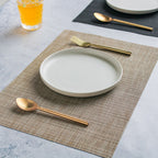 Neutral Tone Dinner Mat Set of 2 Nestasia