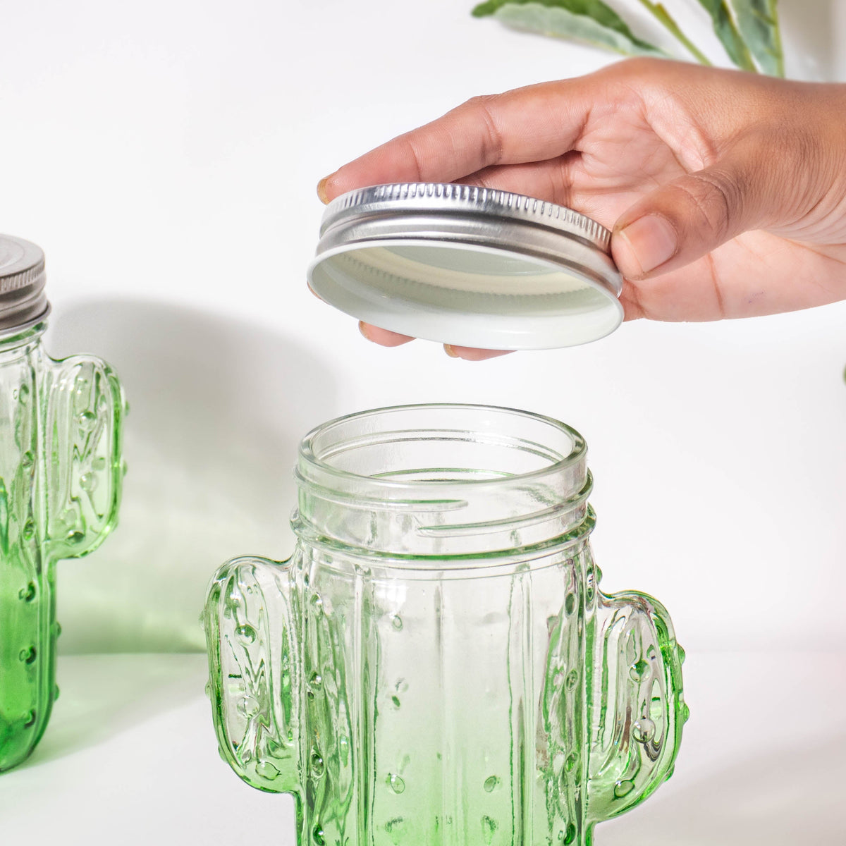 Prickly Cacti Glass Jar Green with Lid Set of 4 Nestasia