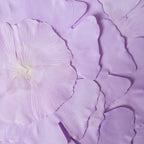 Flower Table Mat Set of 2 Nestasia