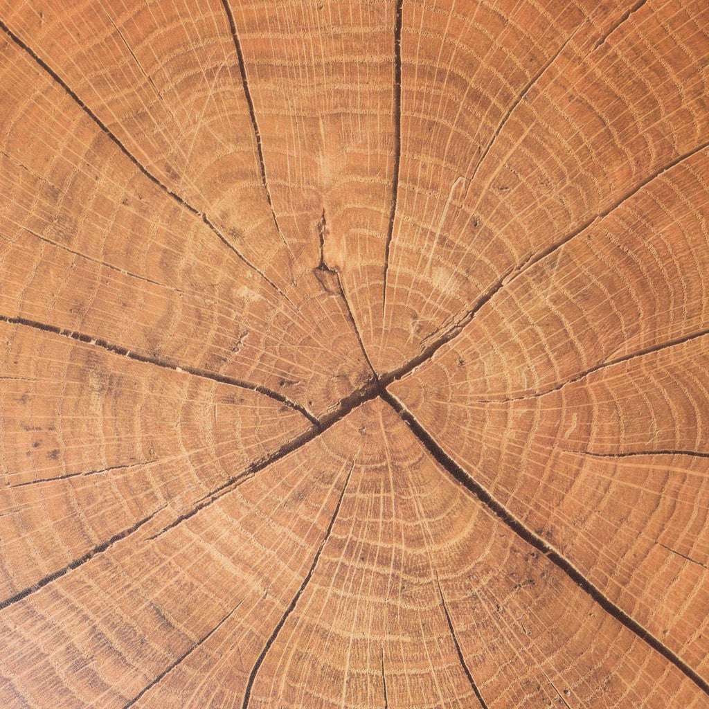 Wood Table Mat Set of 6 Nestasia