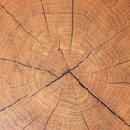 Wood Table Mat Set of 6 Nestasia