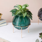 Small Globe Vase Nestasia
