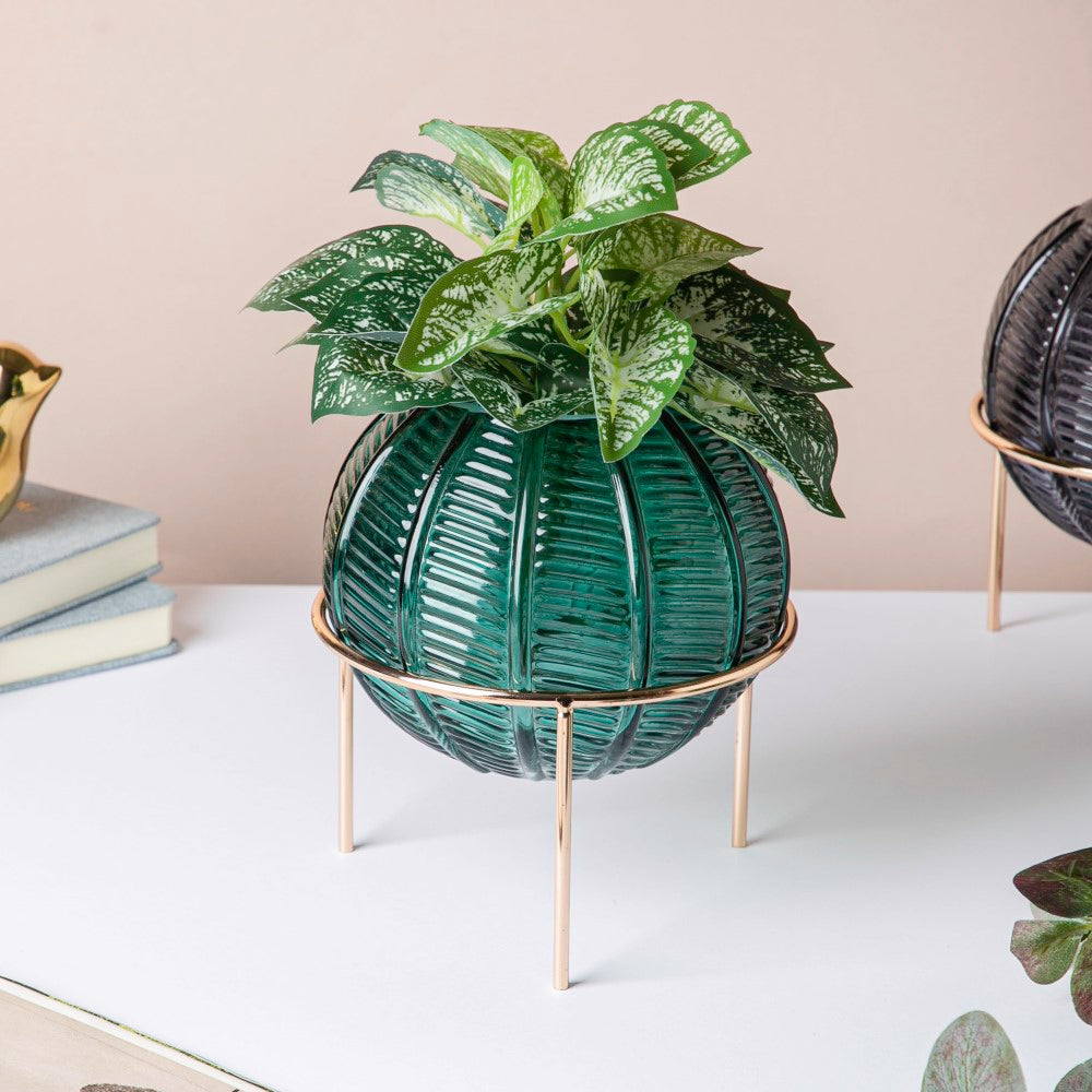 Small Globe Vase Nestasia