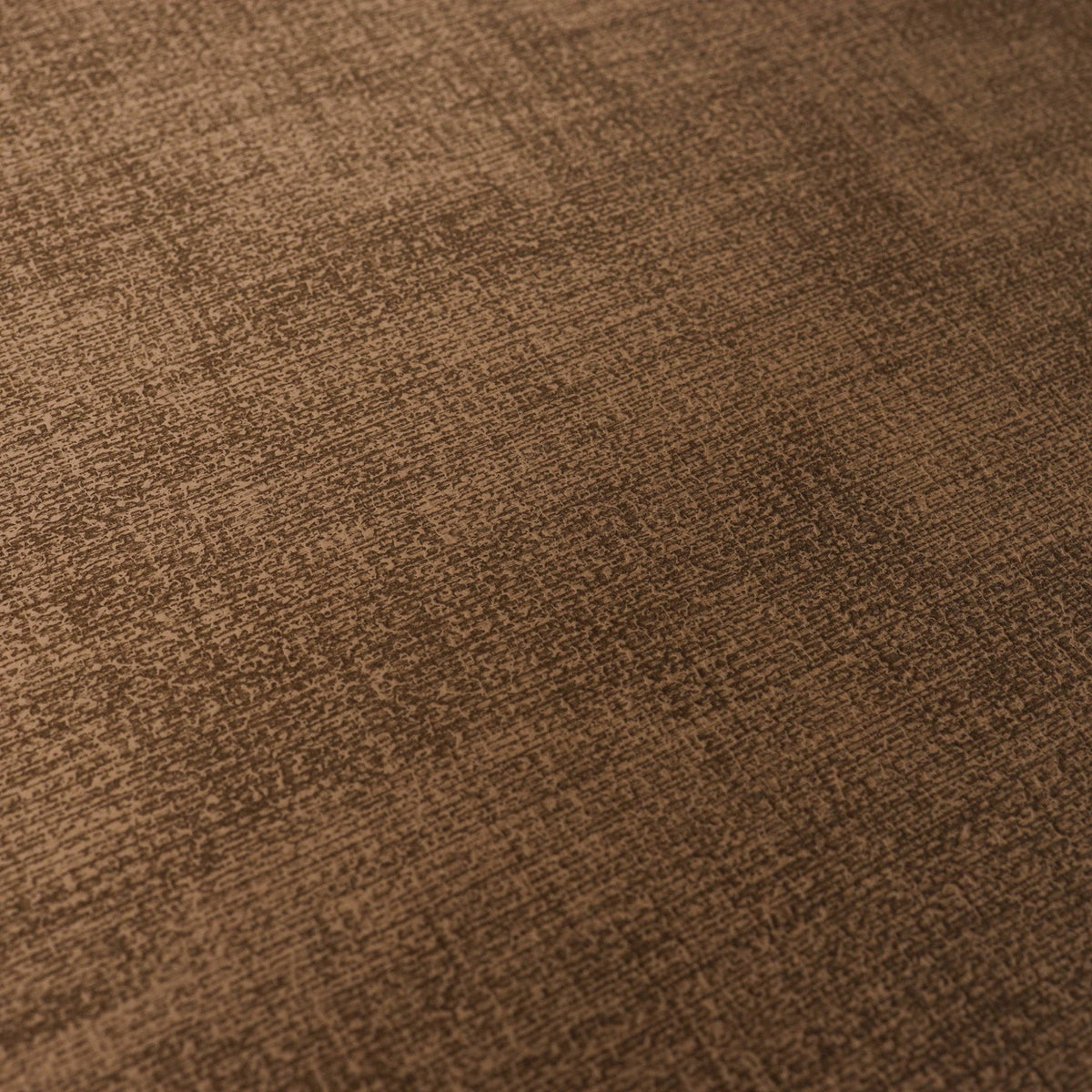 Faux Leather Placemat Set of 2 Nestasia