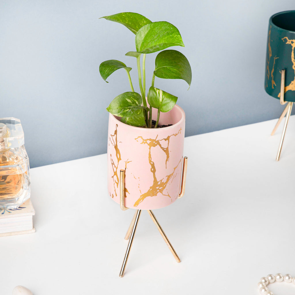 Auric Marble Pink Planter with Stand Large Nestasia