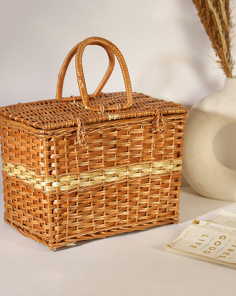 Clothes Storage Trunks, Decorative Baskets for Multi-Purpose Home Organization