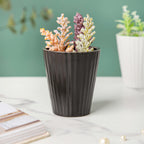 Nordic Black Ribbed Ceramic Planter Nestasia