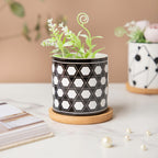 Twyla Hive Black White Planter With Wooden Coaster Nestasia