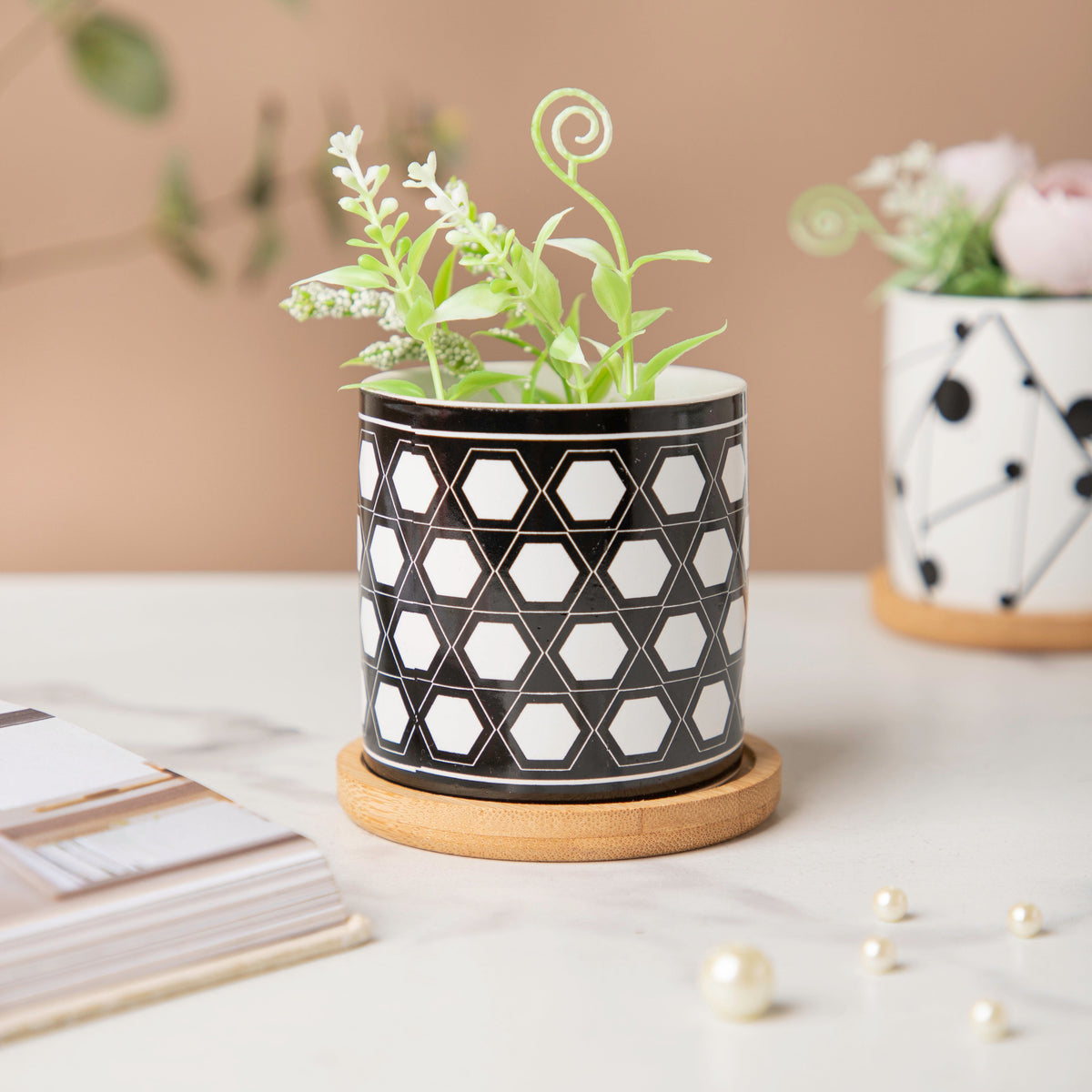 Twyla Hive Black White Planter With Wooden Coaster Nestasia