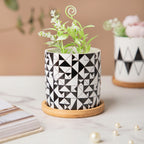 Twyla Black White Heaven Planter With Wooden Coaster Nestasia