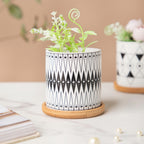 Twyla Starry Night Black White Planter With Wooden Coaster Nestasia