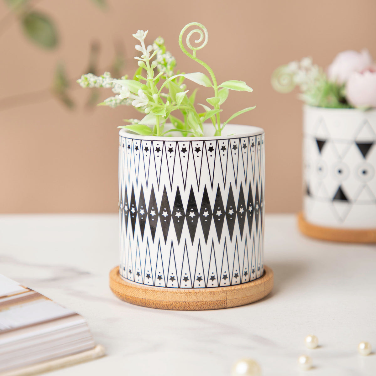 Twyla Starry Night Black White Planter With Wooden Coaster Nestasia