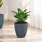 Indoor Plant Florin Pot Self Watering Grey Set Of 3 Nestasia