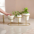 TerraGold Planters With Metal Stand Cream White Nestasia