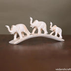 Elephant Family Showpiece (3.2 Inch) Vedansh Craft