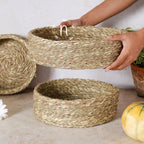 Kitchen Organization Baskets Nestasia