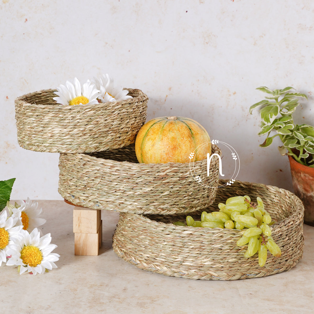 Kitchen Organization Baskets Nestasia