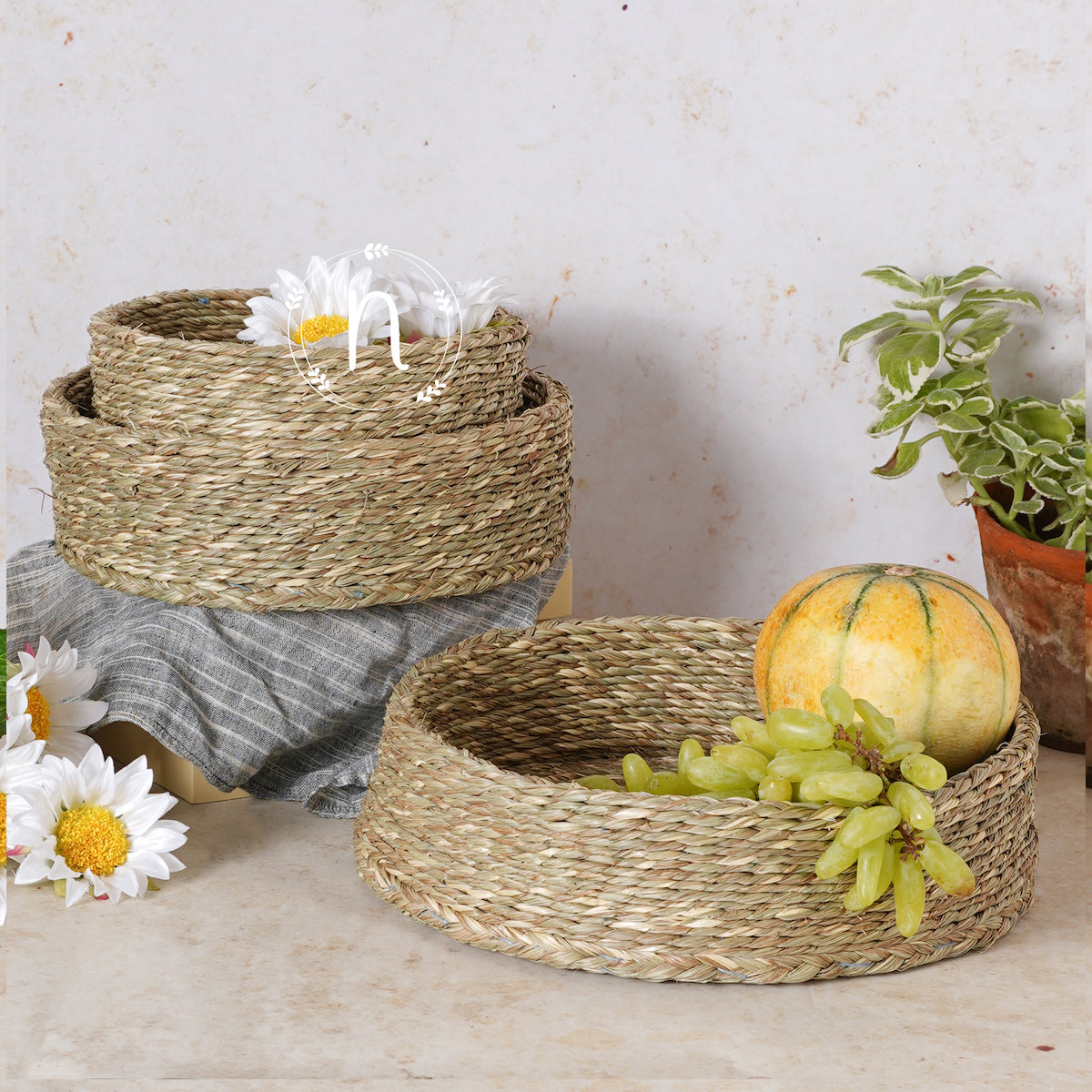 Kitchen Organization Baskets Nestasia