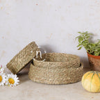 Kitchen Organization Baskets Nestasia