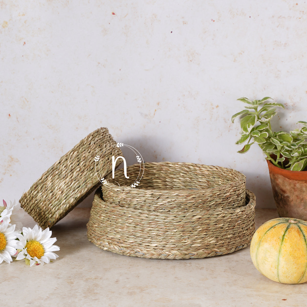 Kitchen Organization Baskets Nestasia
