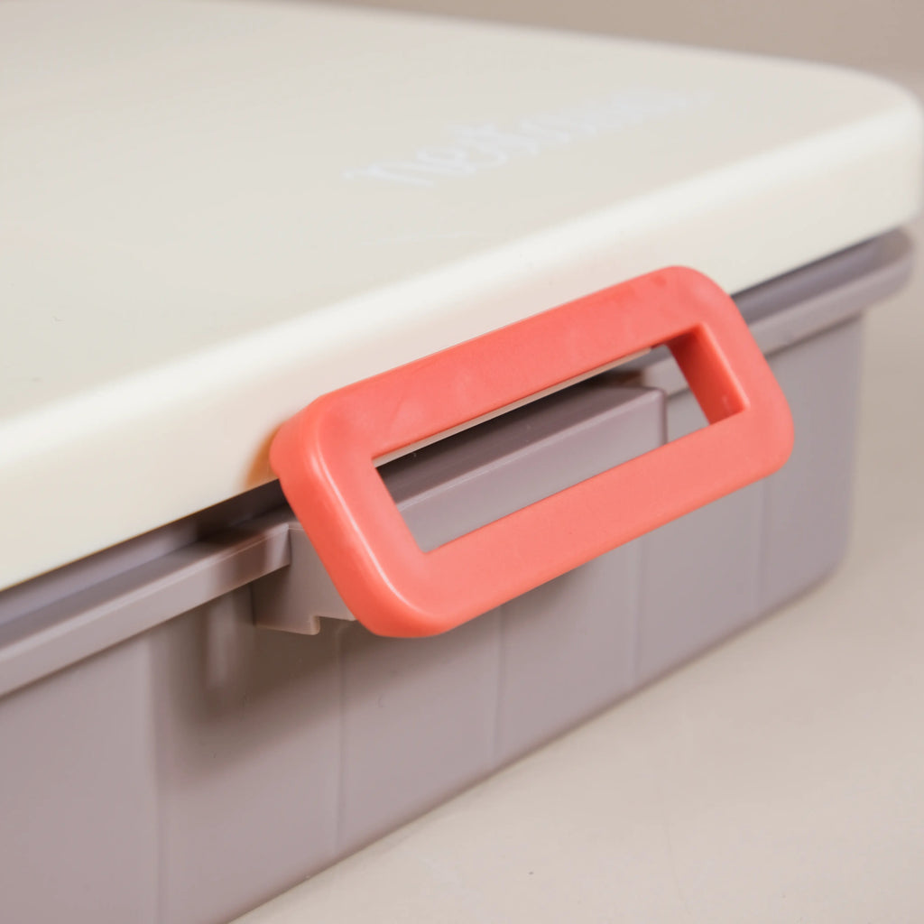 Insulated Bento Lunch Box With 4 Sections 900ml Nestasia