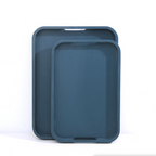 Blue Tray Nestasia