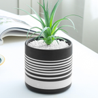Striped Black and White Vase Nestasia