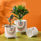 Rainbow Round Pot Medium Nestasia
