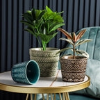 Intricate Texture Sage Green Pot Nestasia