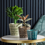 Intricate Texture Sage Green Pot Nestasia