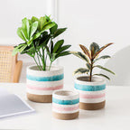 Multicolour Plant Pot Set Of 3 Nestasia