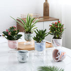 Modern Grey Ceramic Planter With Glass Stand Nestasia